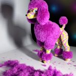 Sequin the Poodle | by Projectarian