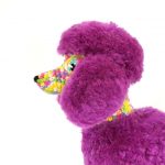 Sequin the Poodle | by Projectarian